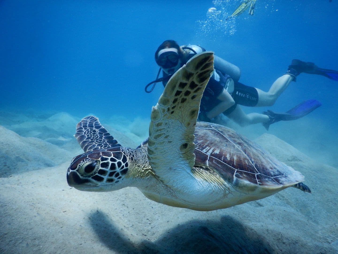 Diving Package