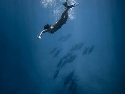 Underwater Photographer